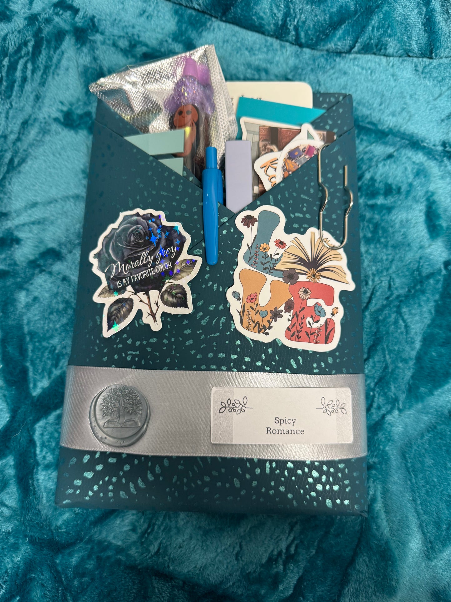 Hidden Story - Blind Date With A Book