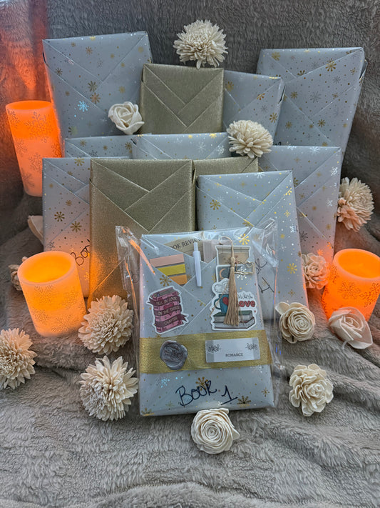 12 day/book advent calendar Regular